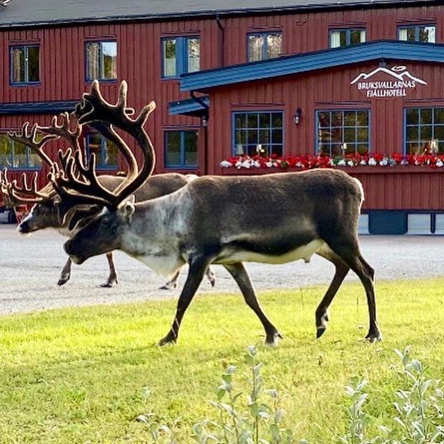 Bruksvallarnas Fjallhotell Exterior foto